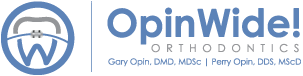 Open Wide Logo
